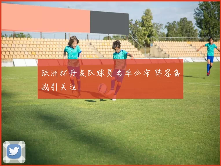 欧洲杯丹麦队球员名单公布 阵容备战引关注