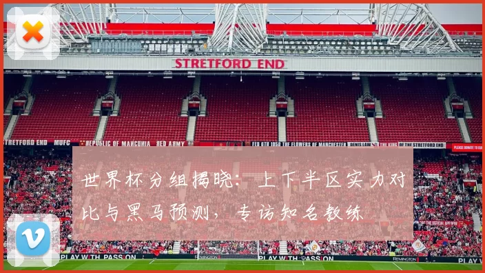 世界杯分组揭晓:上下半区实力对比与黑马预测,专访知名教练