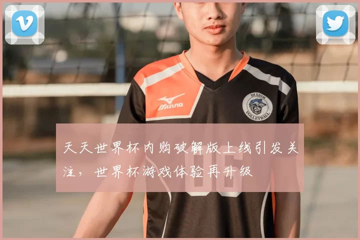 天天世界杯内购破解版上线引发关注,世界杯游戏体验再升级