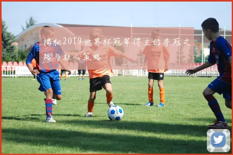 揭秘2019世界杯冠军得主的夺冠之路与核心策略