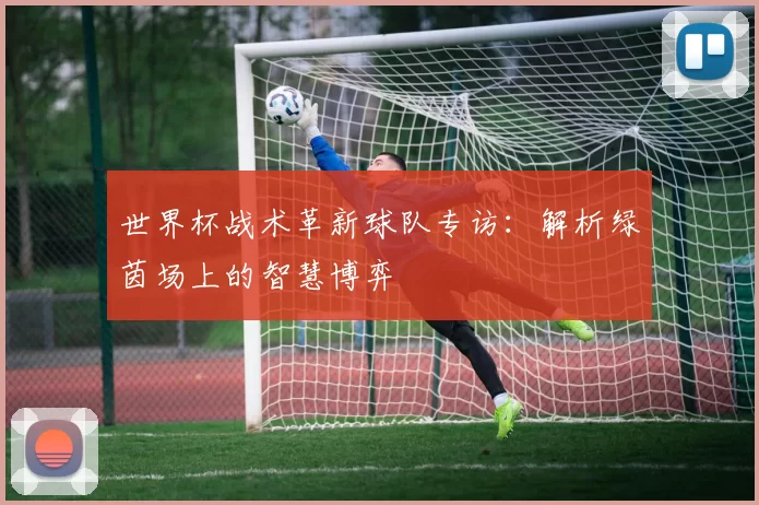 世界杯战术革新球队专访:解析绿茵场上的智慧博弈