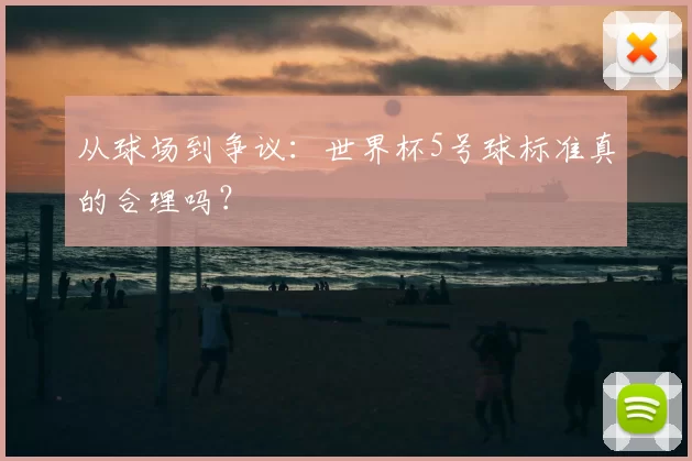 从球场到争议:世界杯5号球标准真的合理吗?