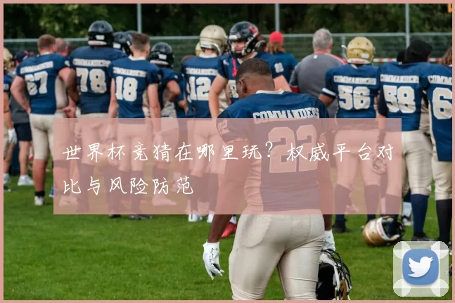 世界杯竞猜在哪里玩?权威平台对比与风险防范