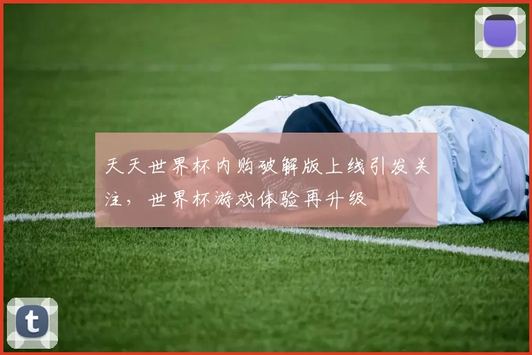天天世界杯内购破解版上线引发关注,世界杯游戏体验再升级