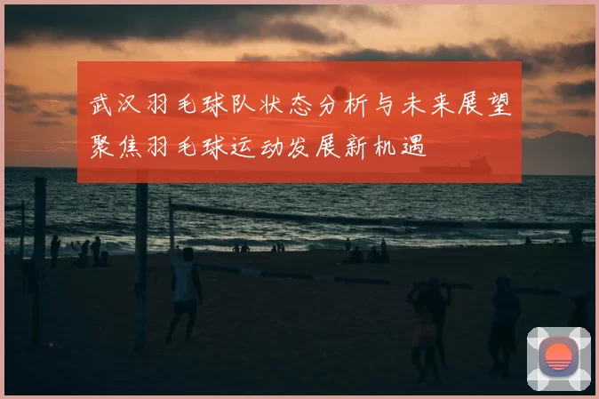 武汉羽毛球队状态分析与未来展望聚焦羽毛球运动发展新机遇