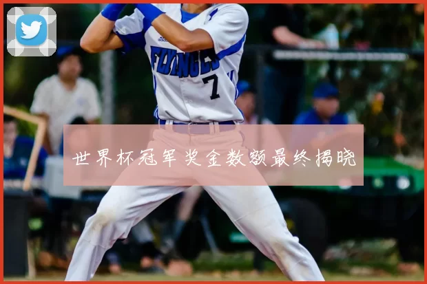 世界杯冠军奖金数额最终揭晓
