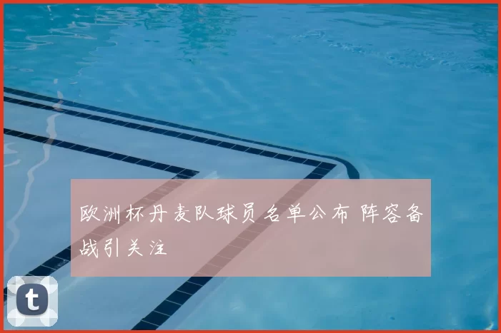 欧洲杯丹麦队球员名单公布 阵容备战引关注